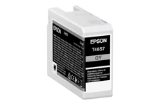 Produktbild för Epson Bläck Grå 25ml - SC P700