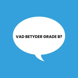 En omslagsbild för artikeln Graderingar av renoverade produkter