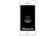 Produktbild för Apple iPhone 5S / SE Hemknapp Byte - Vit/Guld (Touch ID fungerar ej efter byte)